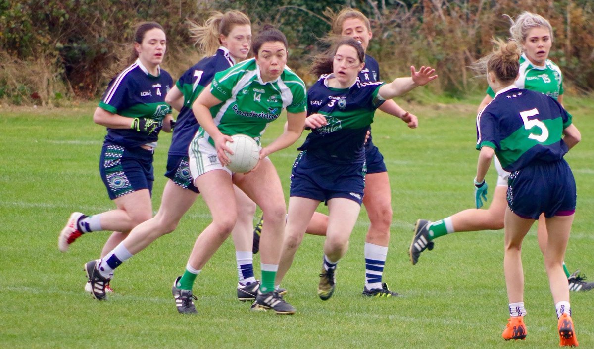 Dunedin Connollys tweet media