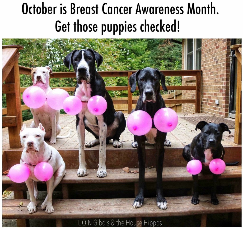 Between the covers book club fiftyshadesofgreyandmore.wordpress.com/2018/11/04/bet…