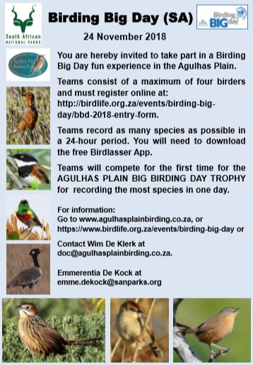 The Big Birding Day – who’s coming? theoverberg.wordpress.com/2018/11/04/the…