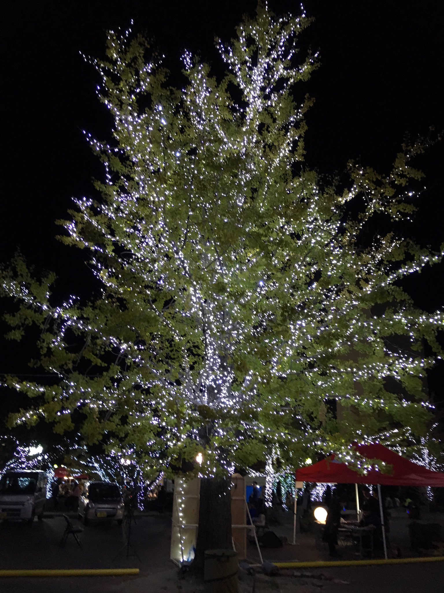 山本祥子 糸島イルミネーション 糸島 丸田池公園 ナイアガラ花火 昼の糸島もいいけど 夜の糸島も綺麗 T Co Vtuk0ypmsv Twitter