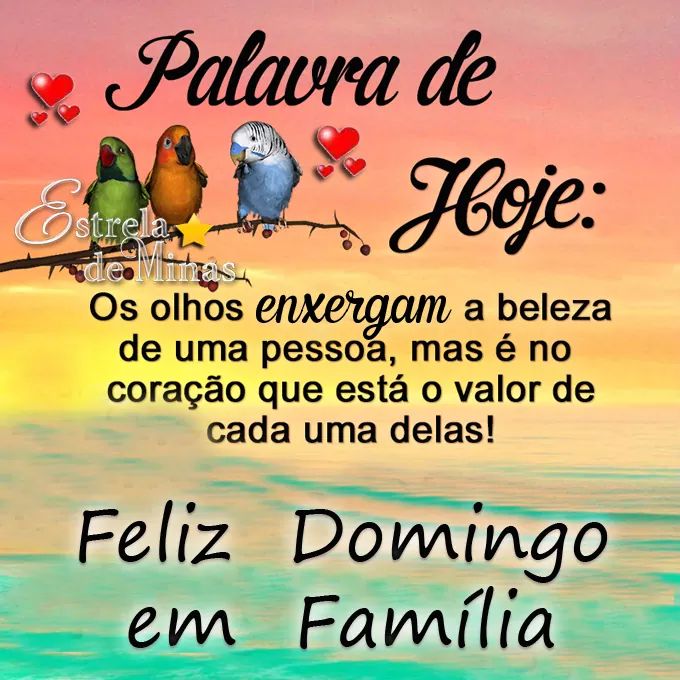 ap_michel's tweet image. Bom dia