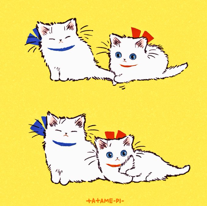 「笑い 白い猫」のTwitter画像/イラスト(新着)｜14ページ目