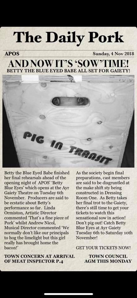 APOS_ayr's tweet photo. It’s not too late to buy your tickets for our production of “Betty Blue Eyes” via @AyrGaiety Box Office. #itssowtime #amdram #apos #ayrshirephilharmonicoperasociety #bettyblueeyes https://t.co/WrQXSYauoQ