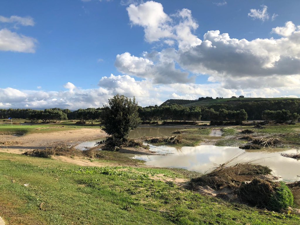 Corrado De Stefani tweet media