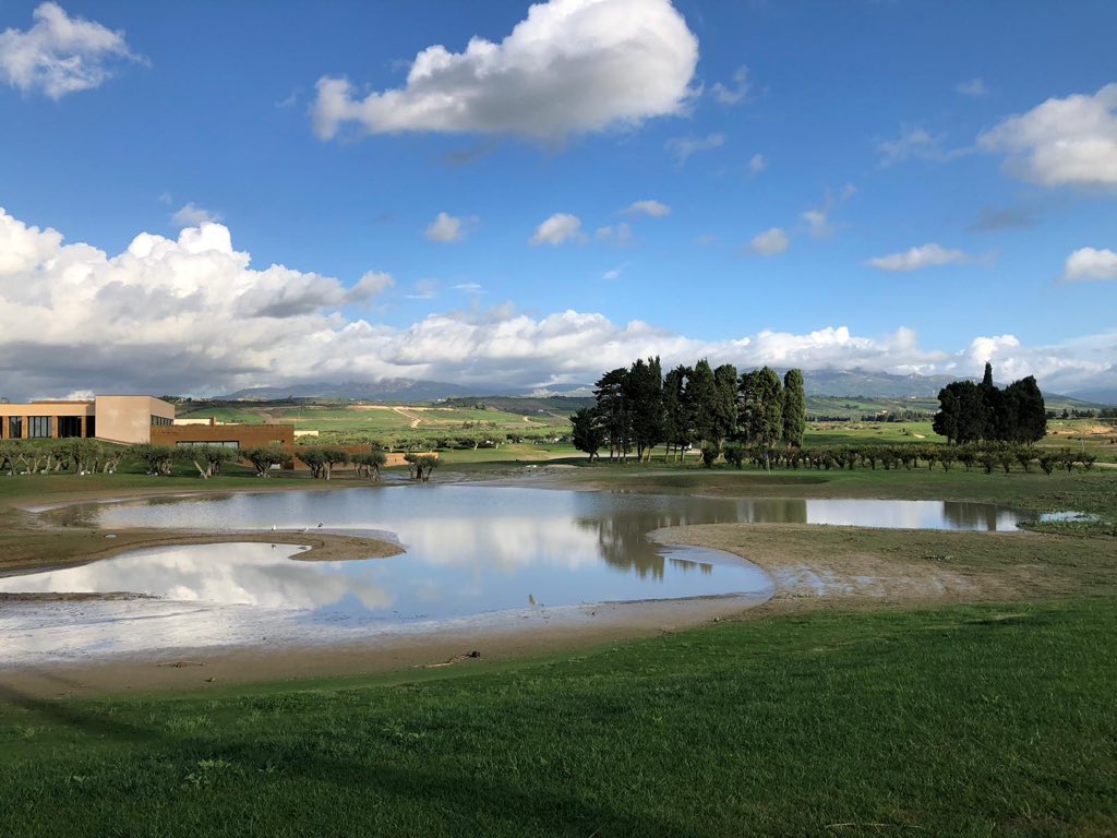 Corrado De Stefani tweet media