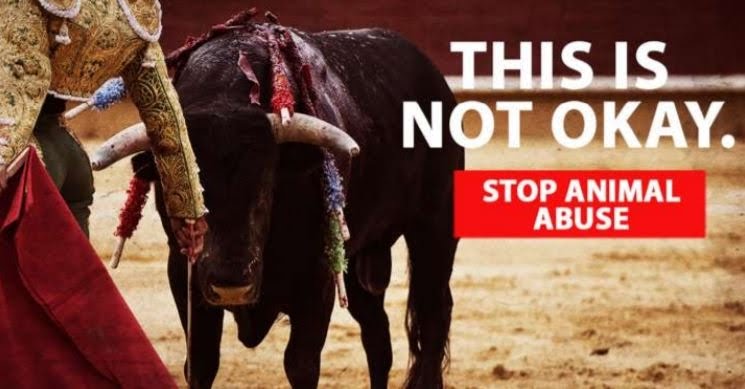 Bull fighting in Spain. This can be stopped by us leaving the EU..