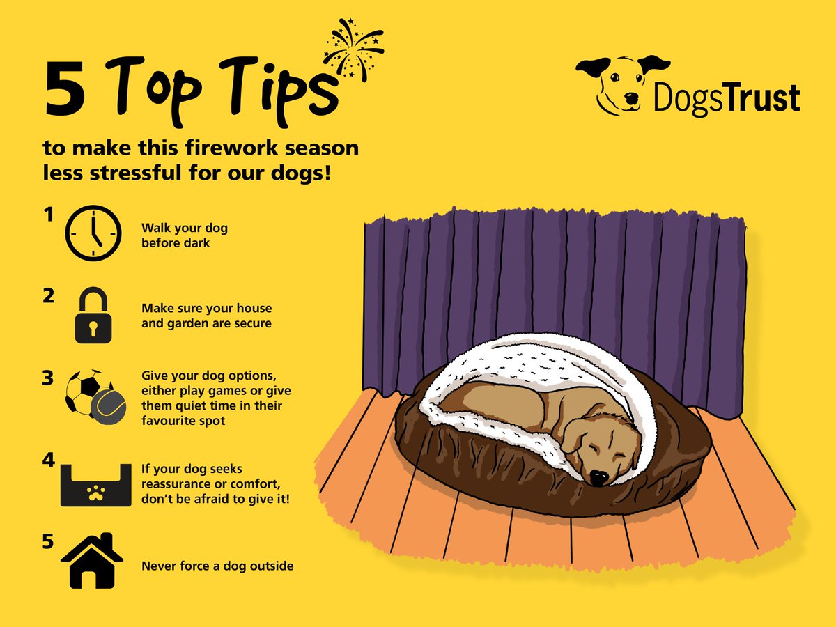 ‼️Fireworks can be scary for your doggy ‼️
➡️ Here are some top tips to help make firework season less stressful fom our friends <a href="/DogsTrust/">Dogs Trust 💛🐶</a> #BonfireNight #fireworks #dogsoftwitter