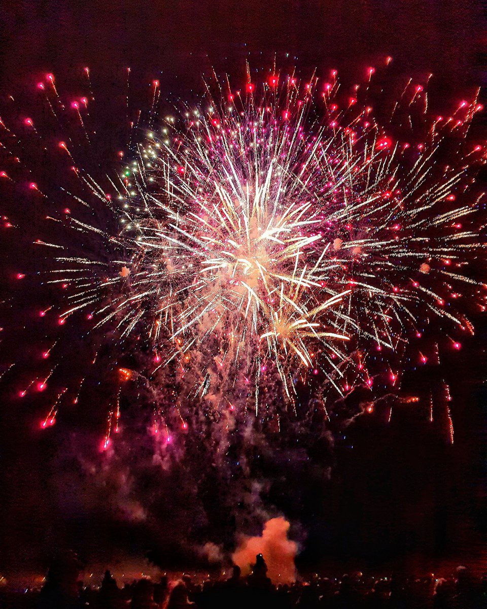 Sharon Canavar tweet media