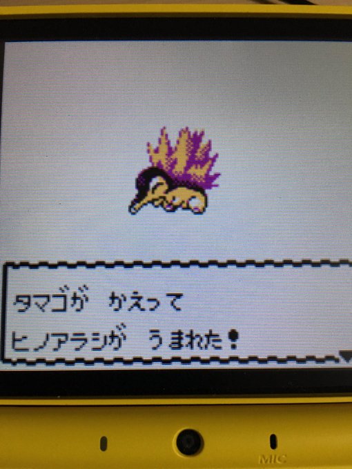 色違いポケモン紹介 Vc産ヒノアラシ 自由に生きてあそblog