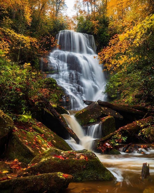 ashevilletrails's tweet photo. Autumn perfection. 🍂🍃🍁 A stunning capture with loads of fall color by our ambassador @rosieladyblue… thanks for sharing the beauty with us, Melanie, and thanks for tagging us!  #ashevilletrails
.
.
.
#leavenotrace #trailful #blueridgemountains #828is… https://t.co/NFSctP4WtW https://t.co/IIcW7vasEs