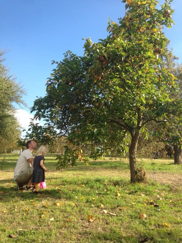 MattLarsenDaw's tweet photo. We face a #biodiversity crisis.
#ClimateChange threatens all life.
#Trees are vital for sustaining biodiversity &amp; mitigating climate change.
The conclusion is clear: plant more, protect &amp; nurture what we have. 
Read, sign &amp; support the #TreeCharter this #TreeCharterDay 24-11-2018 https://t.co/PAP9bh5RCH
