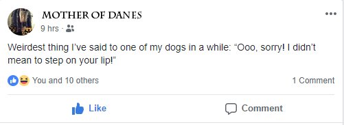 SageNatural's tweet image. #greatdaneproblems

See...  their faces sort of melt when in certain positions, and the lips and jowls end up all over the place...  and can slowly increase in surface area that they take up...  and...

I&apos;ve not stepped on Raubahn&apos;s lips, but it has been a concern.