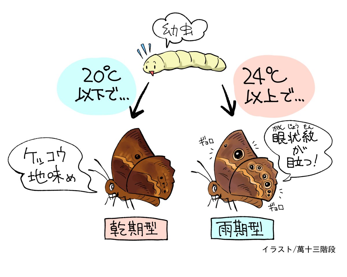 夏頃に所属研究室のオープンキャンパス講義用イラスト描かせて頂いたんですが、台風で講義中止になってお蔵になっちゃったんですよね
しかしながら今年の研究室紹介の時に使って貰えるみたいです。やったね 