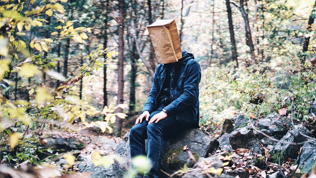 bigphony's tweet photo. Big Phorrest #ifatreefallsinthewoods #doesabear... #bigphony #빅포니 https://t.co/qa6mznUAZR