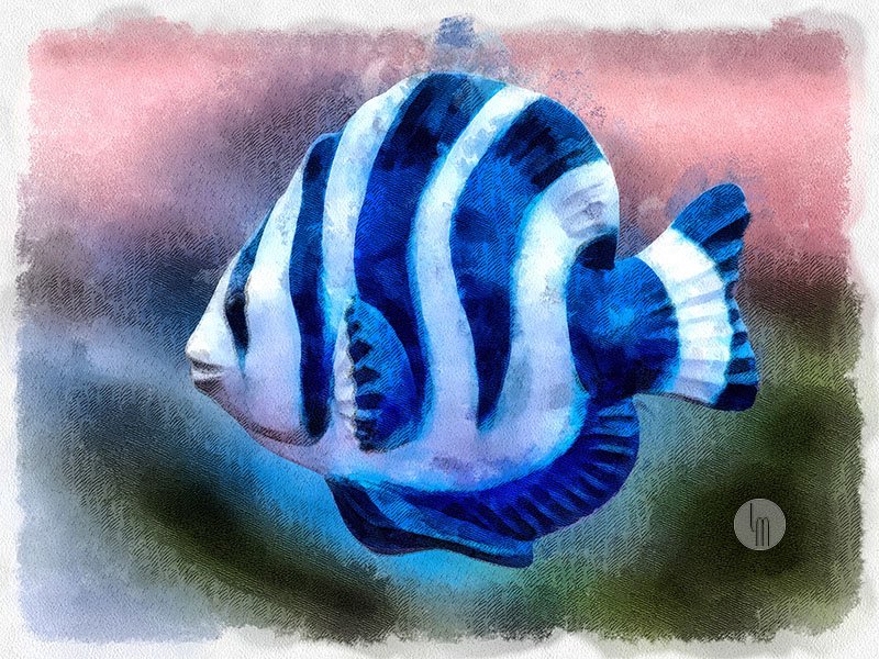 'A Single Angel Fish' by Leslie Montgomery
leslie-montgomery.pixels.com/featured/a-sin…

Take advantage of the free shipping throughout the USA with FAA/Pixels for today only. 

#freeshipping #aquatic #fishtank #underwater #beautifulfish