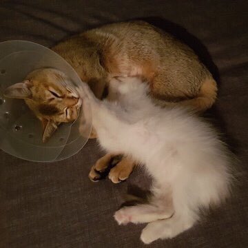 오짱♡ new profile picture?