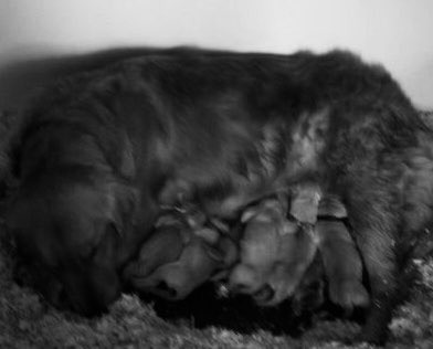 Day 3/7 #mylifeinblackandwhite B &amp; W  photos, 7 days, no explanation, no humans.