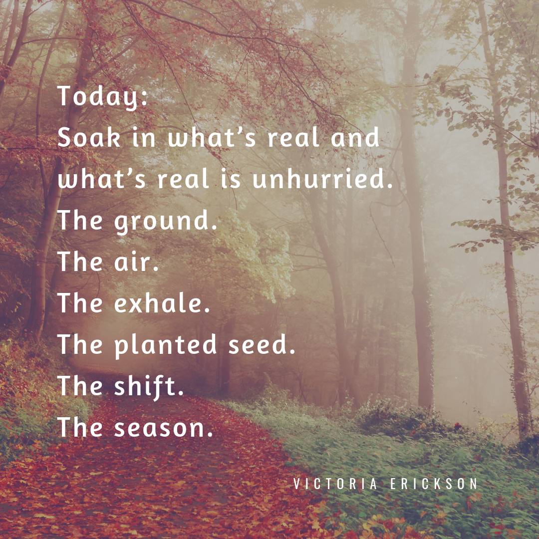 MaineYogaFest's tweet photo. #sundayslowdown
โToday: Soak in whatโs real and whatโs real is unhurried. The ground. The air. The exhale. The planted seed. The shift. The season.โ โ Victoria Erickson
#findstillness #breath #thewayyogashouldbe #maineyogafest #myf #portlandme https://t.co/DhMIVmJoOv