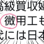 ぬい ペニ ショック