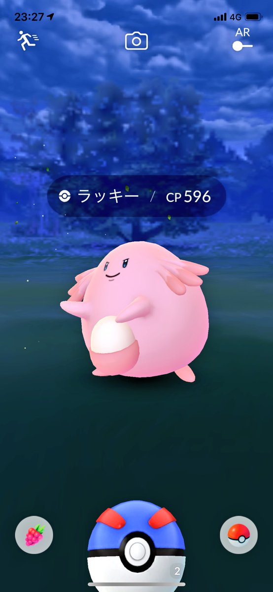 野生のラッキー Twitter Search Twitter 野生のラッキー Twitter Search Twitter