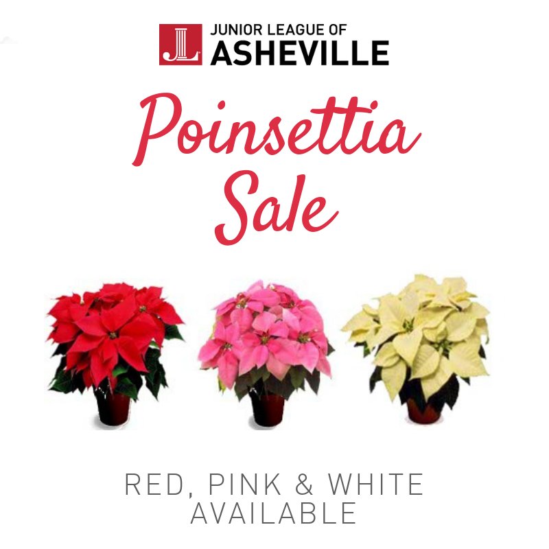 Jr League AVL tweet media