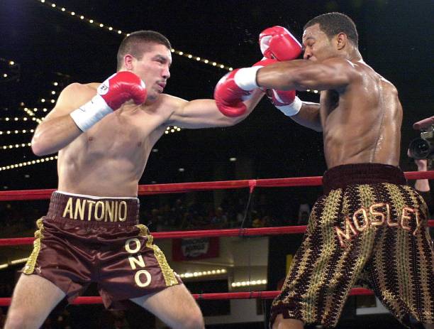 The Last Round (@thelastround12) on Twitter photo November 4th 2000: Sugar Shane Mosley KO 6 Antonio Diaz, NYC. Retains WBC Welterweight Title.
Mosley at 35-0 and the WBC welterweight titleholder, and Diaz at 35-2, fresh off of a win over Micky Ward. He'd also beaten Ivan Robinson and Cory Spinks <a href="/ShaneMosley_/">Sugar Shane Mosley</a> <a href="/JoelDiazBoxing/">Joel Diaz Training Camp</a> November 4th 2000: Sugar Shane Mosley KO 6 Antonio Diaz, NYC. Retains WBC Welterweight Title.
Mosley at 35-0 and the WBC welterweight titleholder, and Diaz at 35-2, fresh off of a win over Micky Ward. He'd also beaten Ivan Robinson and Cory Spinks <a href="/ShaneMosley_/">Sugar Shane Mosley</a> <a href="/JoelDiazBoxing/">Joel Diaz Training Camp</a>