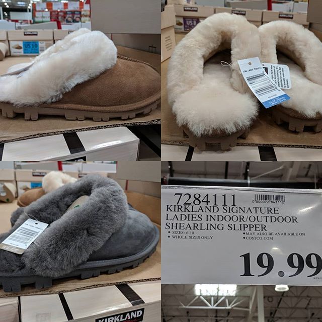 kirkland shearling