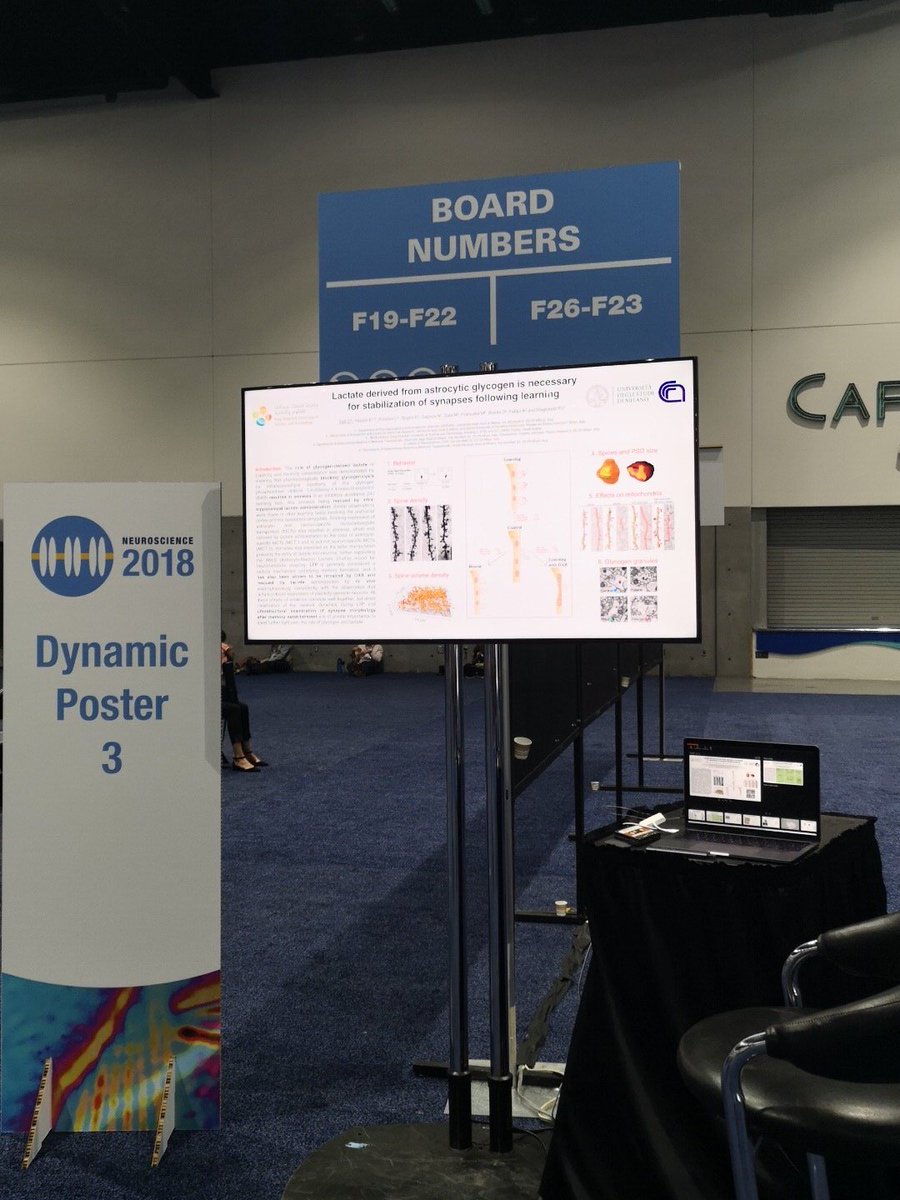 dadoEM82's tweet image. #SfN18 #dynamicposter Ready for a 4hours session!