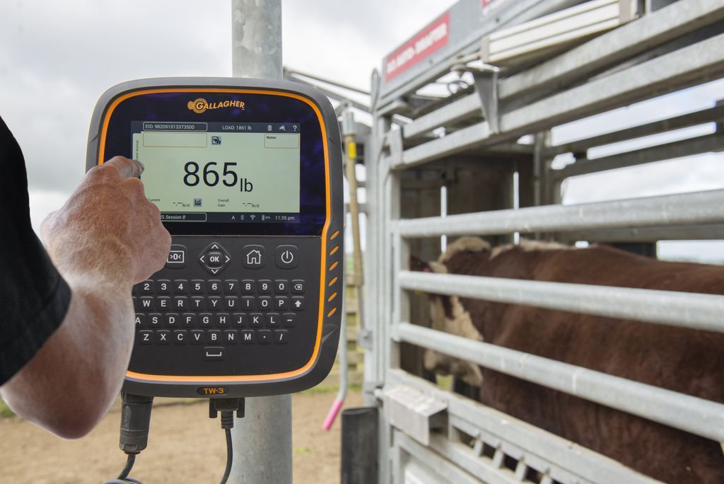 GallagherNA's tweet photo. At #AngusCon18 this week? Get registered to win a @GallagherNA Touch Screen Scale & @MiracoWaterer System valued at over $6,000 #RanchLife #Cattle https://t.co/ntcFZdTHjc