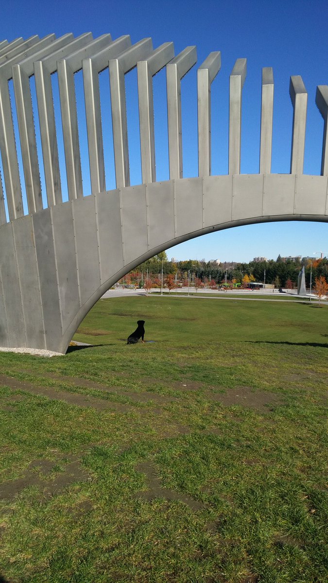 Her empire awaits 
#Ruby <a href="/REDBLACKS/">Ottawa REDBLACKS</a>