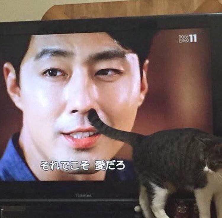 Tkasasagi 中二病熊 それでこそ 愛だろ Tkasasagi 中二病熊 それでこそ 愛だろ
