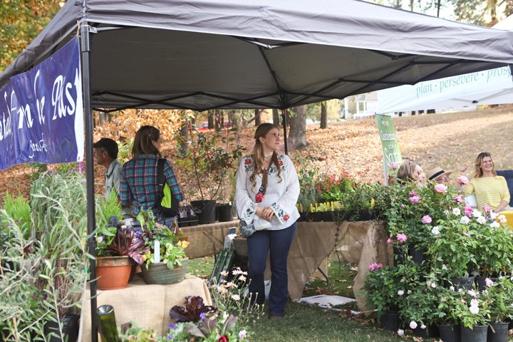 Moss Rock Festival tweet media