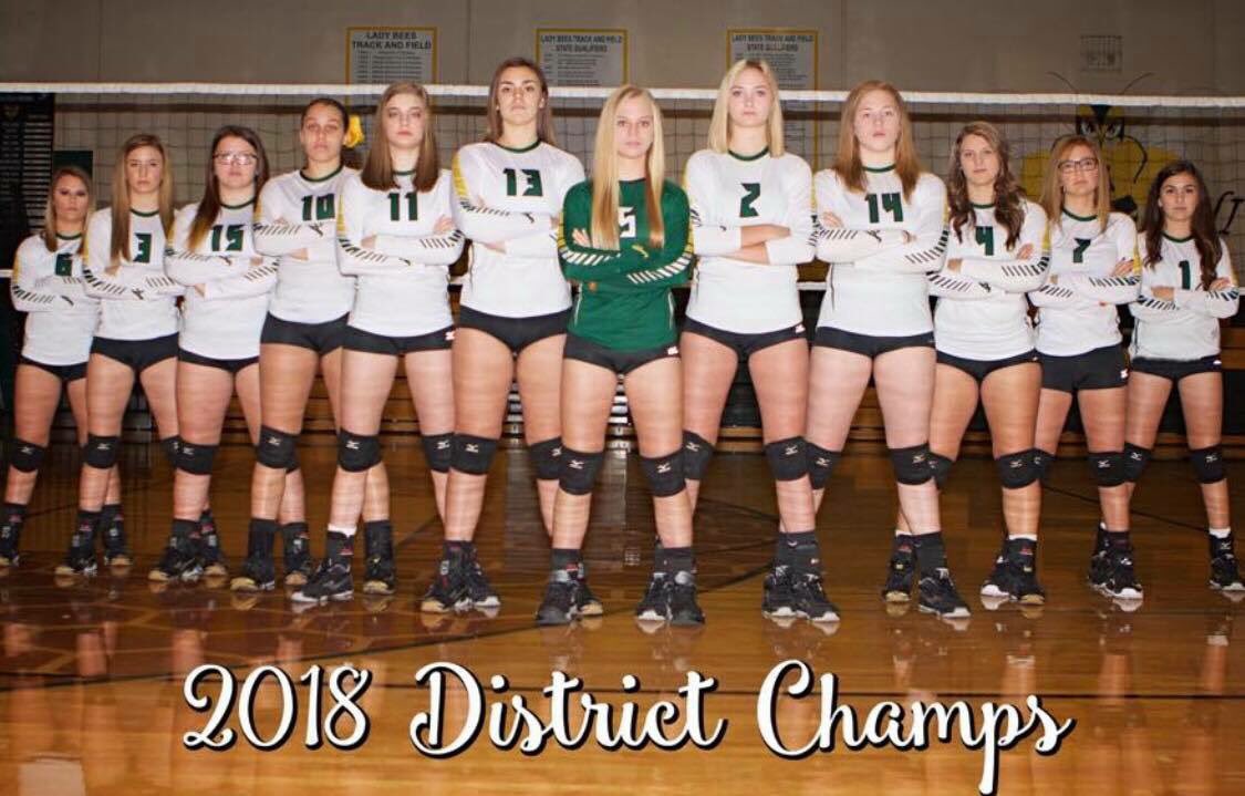 AcademyHigh's tweet photo. Lady Bee Volleyball vs Maypearl Regional Quater Finals on Tuesday,11/6 @6pm in Groesbeck. We are the “Visiting Team”.#Fillthestands #BringtheNOISE https://t.co/QuTxUS6xqe