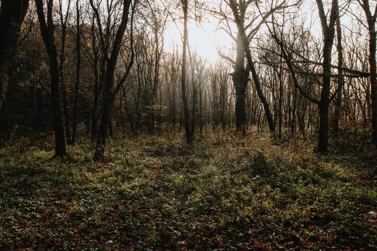 samhetterich's tweet image. Gorge weekend!