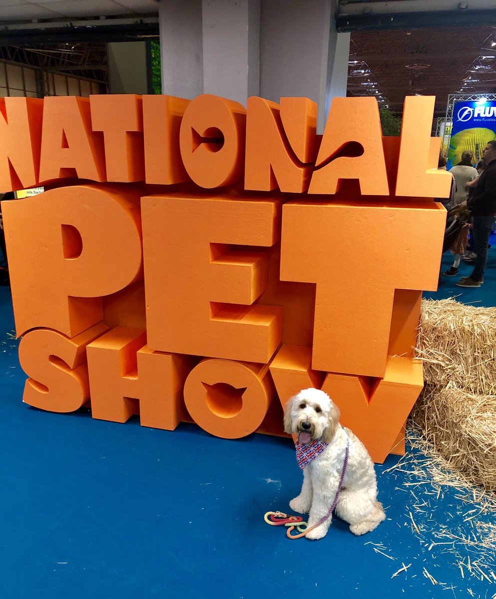 snapthedoodle's tweet photo. Just got back from a crazy weekend at the @nationalpetshow!! We had such a fantastic weekend meeting lots of lovely people, brands, and other dogs.

Head over to my Instagram to find out what we got up too. 🐾 

https://t.co/VuQwBVPTCs https://t.co/3AHtfK0vpk