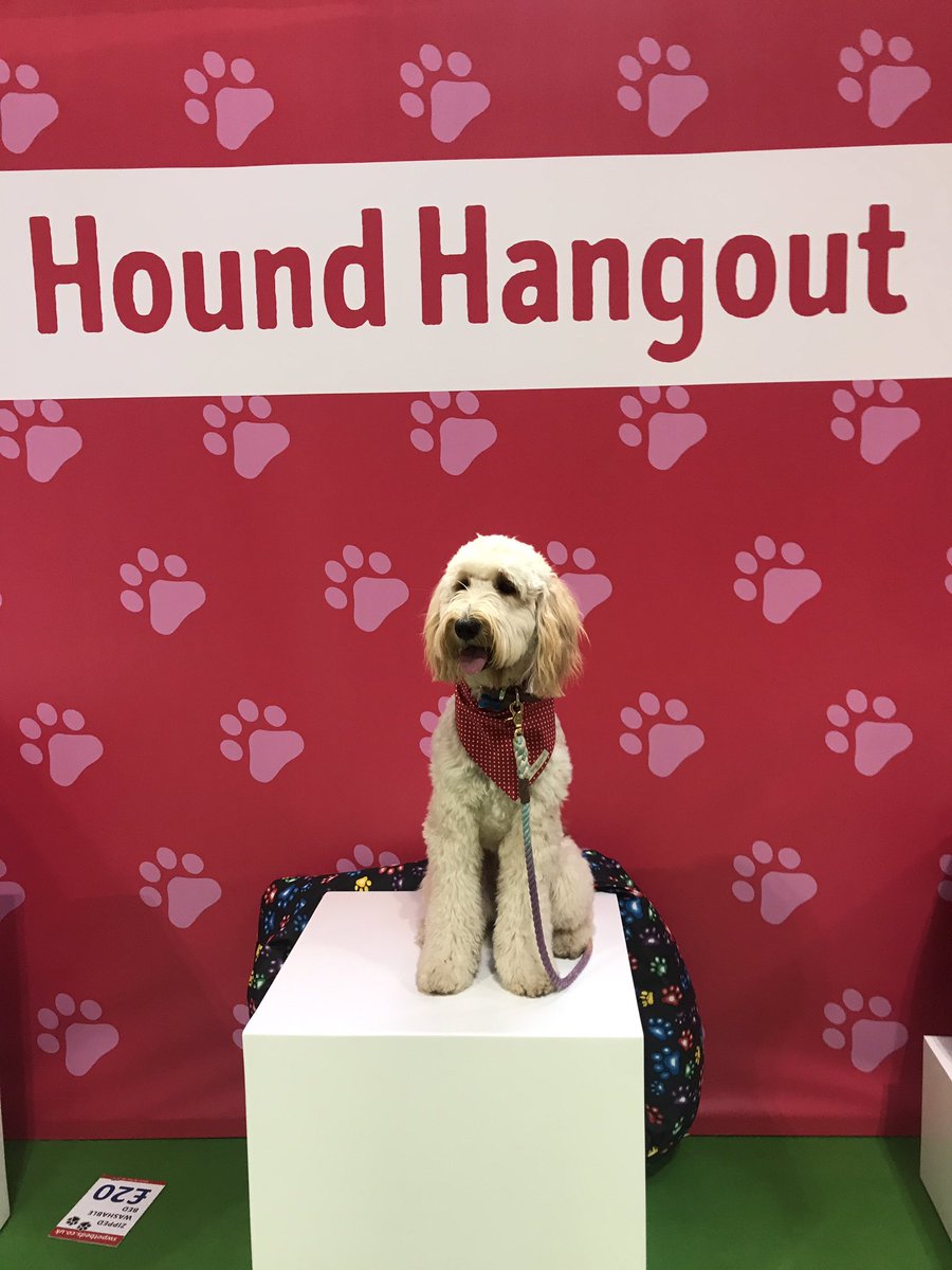 snapthedoodle's tweet photo. Just got back from a crazy weekend at the @nationalpetshow!! We had such a fantastic weekend meeting lots of lovely people, brands, and other dogs.

Head over to my Instagram to find out what we got up too. 🐾 

https://t.co/VuQwBVPTCs https://t.co/3AHtfK0vpk