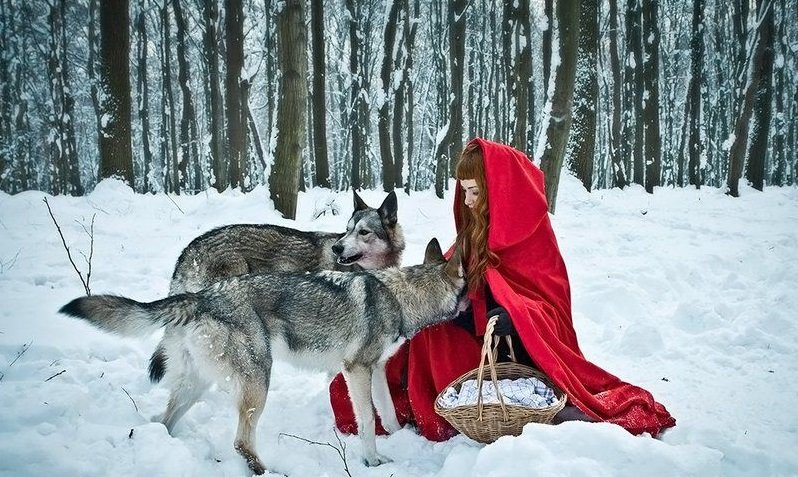 #ULHʜᴀʟʟᴏᴡᴇᴇɴ

— ❝The Wolf has never told his side of the story❞.