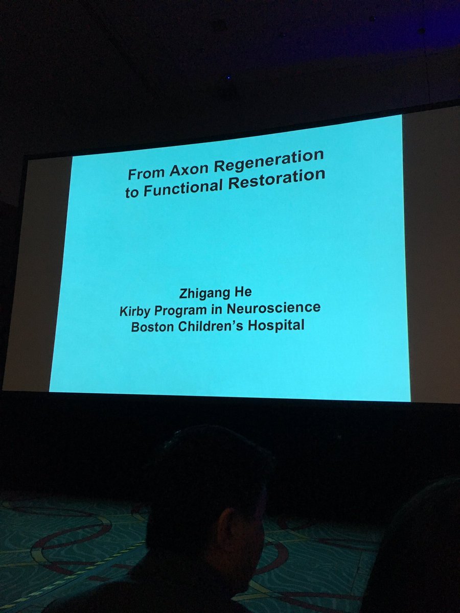 justthevax's tweet image. Excited for Zhigang He’s lecture on acin regeneration and functional repair #SfN18 #spinalrepair