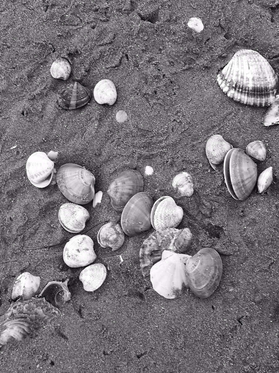 #blackandwhitechallenge Nominated by @SarahKasper3 😄
4/7
📅 7 days 
📸 7 pictures
🚷 no people 
📵 no text