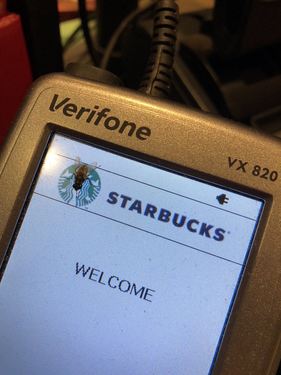 Hey Starbucks...what’s up with all the flys in your stores?  Love the coffee..hate the flys.