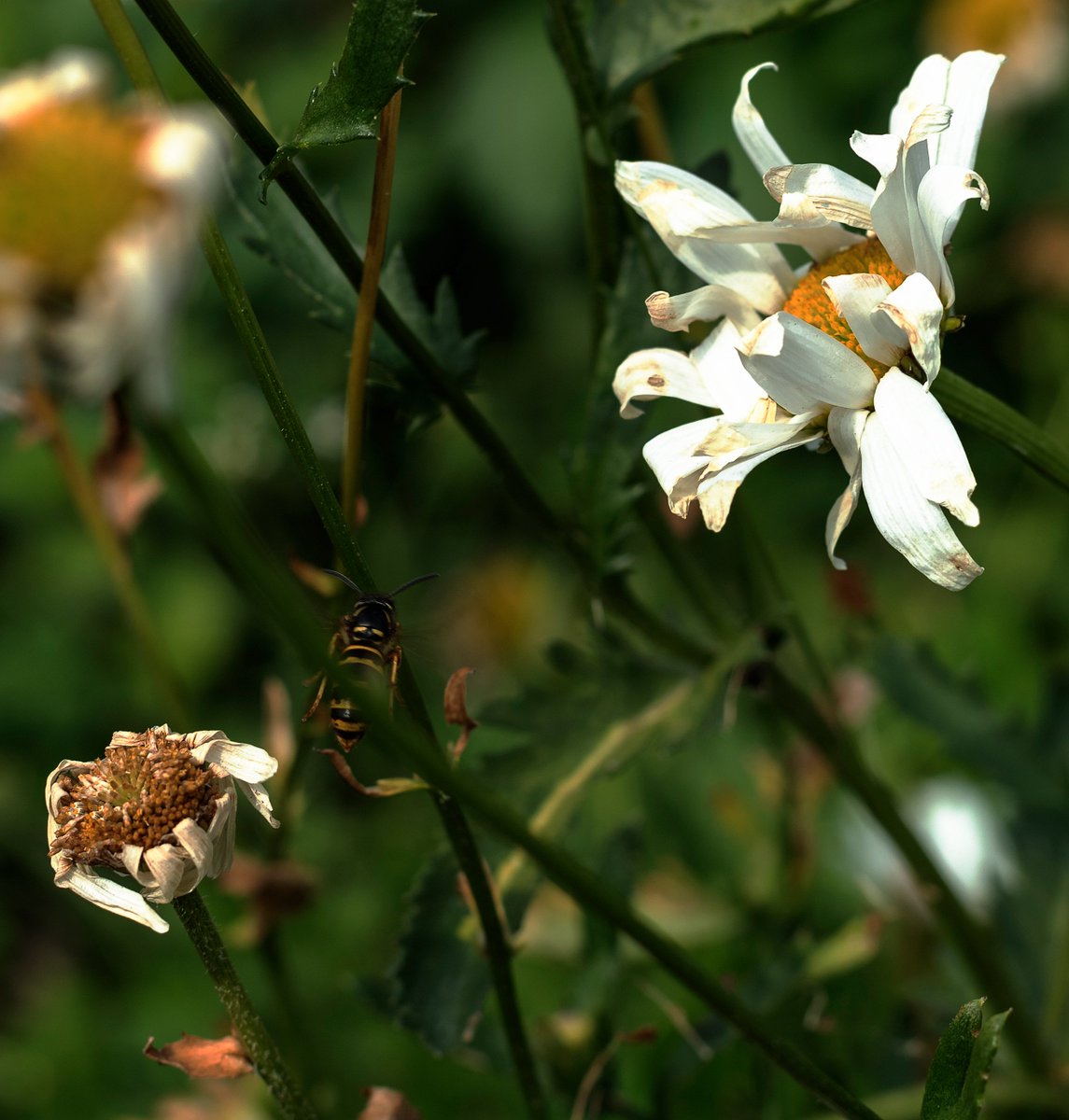 elstenseth's tweet image. #norskekunstnere #norwegianart #norwegianmade #norskdesign #kunst #illustrasjon #norskefotografer #kunsttilsalg #kunstsamler #artcollectorworld #artcollectorsoftheworld #skandinaviskdesign #estetikk #artlove #artpassion #exhibitions #intuitiveartist #samtidskunst