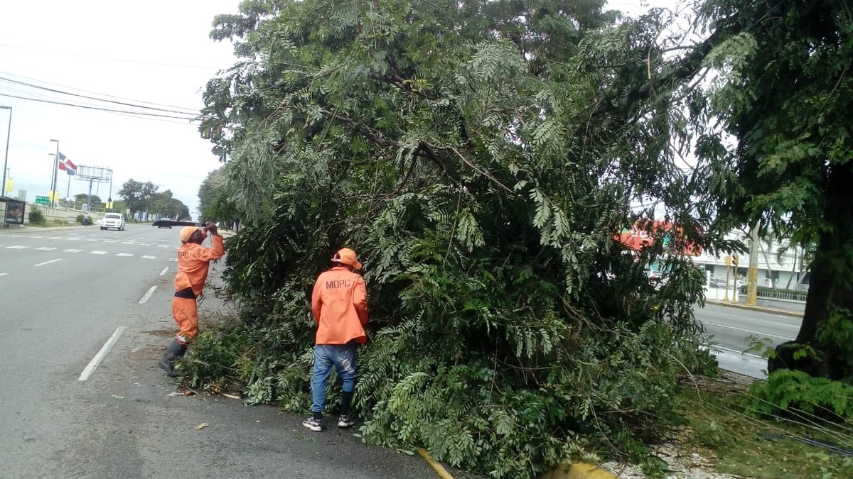 Tras las lluvias y los grandes vientos ocurridos en el país, se han caído varios árboles en diferentes puntos, obstaculizando las vías. Las brigadas de #Mantenimientodecarreteras se encargan de retirarlos. #AvLuperón y #AvLosPróceres . #MOPCRD