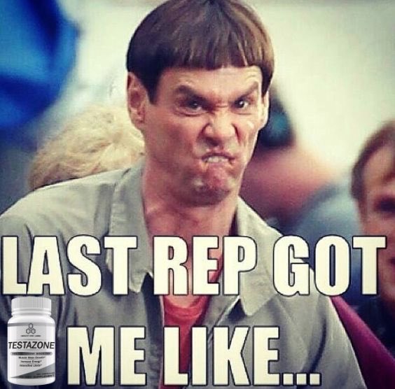 Get through that last rep easier with the help of TestaZone. Buy on Amazon 
amzn.to/2j10beM
#supplements #gym #gymmotivation #gymshark #gymmemes #gymsharkwomen #exercise #fitness #fit #fitnessmotivation #fitnessgirl #fitgirls #fitspo #fitmom #fitfam #strength #muscle