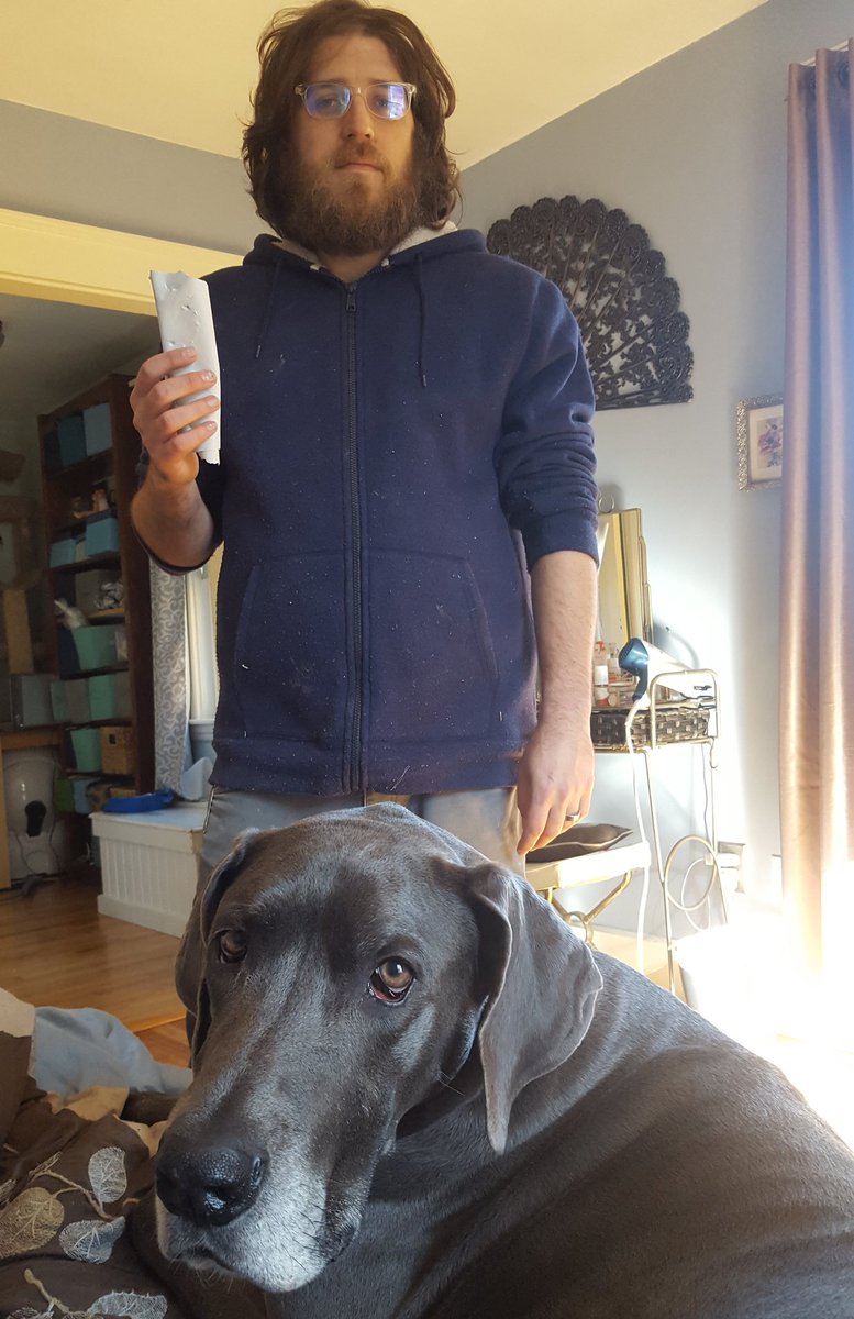 LizOffTask's tweet image. We came home last night and discovered Lucy had broken into, and then locked herself in Mike&apos;s office. She even pulled the shades down and shredded every last piece. We&apos;re still cleaning up the destruction. She was thorough.
#GreatDaneProblems
#GreatDane