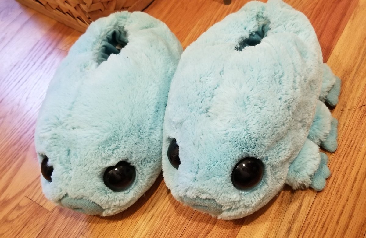 herooine's tweet image. TARDIGRADE SLIPPER SZN #nerdthings