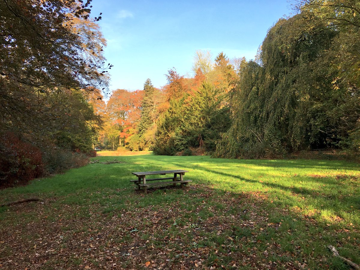 Vanmiddag veel bezoekers in <a href="/stadsbos013/">Stadsbos013</a> bij het inmiddels traditionele Boscafé. Uitleg over ons bosonderhoud en een rondleiding door <a href="/StadsbomenTb/">Stichting Stadsbomen Tilburg</a>. Meer weten? 👉🏻 tilburgsbos.nl