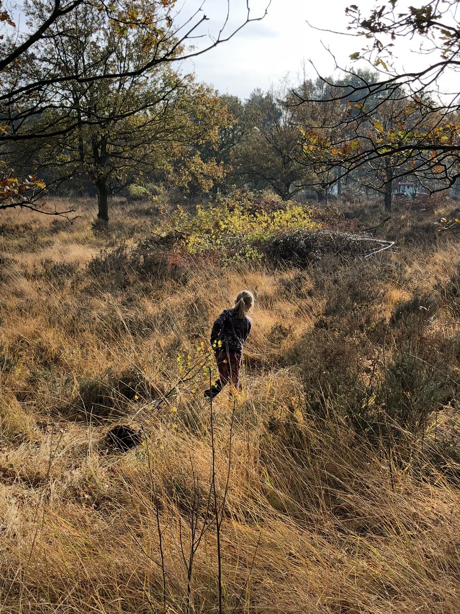 Tenk71's tweet image. Natuurwerkdag, 1ste keer NAC voor Ayla, en warm thuis met mijn meiden. Top weekend!