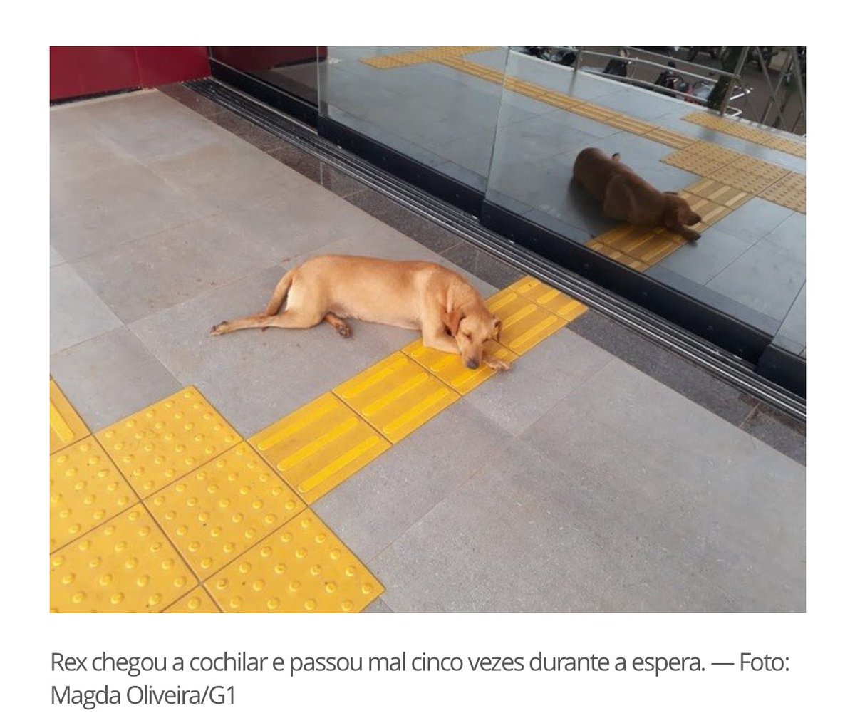 seventrying's tweet photo. ganhei a minha semana inteira com essa notícia https://t.co/j9GtYWove6
