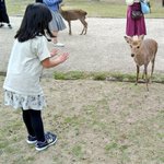 知ってると便利!奈良の鹿の回避方法はコレw手をパーに「持ってないよ!」
