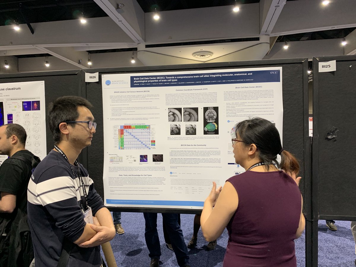 HawrylyczMike's tweet photo. Our BCDC Poster at SFN @AllenInstitute #SfN18 https://t.co/oNHsWhZO5F